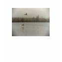 Dream t-shirts