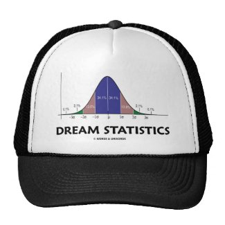 Dream Statistics (Statistical Attitude) Mesh Hat