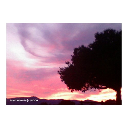 Dream Sunset Tree print