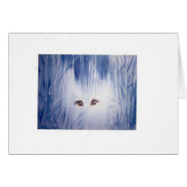 Dreamcat cards