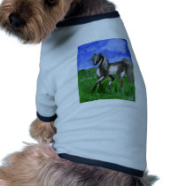 Dreamer pinto horse art pet clothes