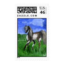 Dreamer pinto horse art postage stamp
