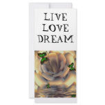 Dreamer Rack Card Design