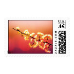 Dreamer, Spring Flowers are blooming stamps