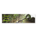 Dreamin' of  the Rainforest bumper stickers
