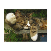 Dreaming about being interesting postcards by pageandturner Dreaming about being interesting postcards
