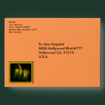 Dreaming Birds Envelope envelopes