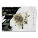 Dreaming cards by MDBerry Dreaming cards