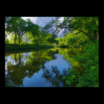 Dreaming in the Park posters