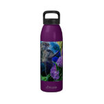 Dreaming Kitten Water Bottle
