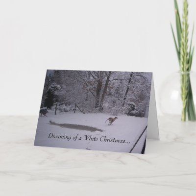 Dreaming of a White Christmas... Cards