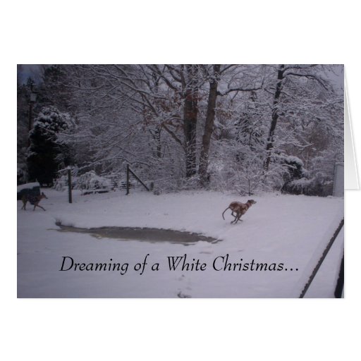 Dreaming of a White Christmas... Card Zazzle