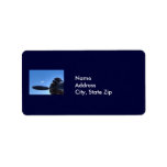 Airplane Labels, Airplane Address Labels, Return Address Labels ... Airplane Labels, Airplane Address Labels, Return Address Labels ...