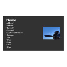 Dreaming of Blue Skies Business Card