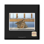 Dreaming of Cheesburgers magnets