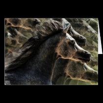 Dreaming of horses cards