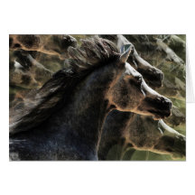 Dreaming of horses card