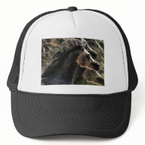 Dreaming of horses trucker hats