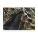Dreaming of horses postcard