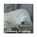 Dreaming of Icebergs magnets by JaguarPhotos Dreaming of Icebergs magnets