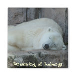 Dreaming of Icebergs Refrigerator Magnet