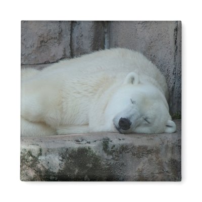 Dreaming of Icebergs Refrigerator Magnets by JaguarPhotos