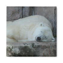 Dreaming of Icebergs magnets by JaguarPhotos Dreaming of Icebergs magnets