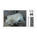 Dreaming of Icebergs postage