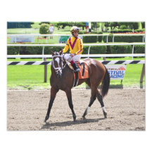 Dreaming of Julia victorious in her first race. Photograph