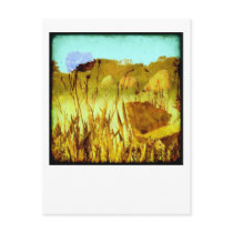 Dreaming of the Summer. postcards by FelicitasArt Dreaming of the Summer. postcards