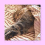 Dreaming of the veldt