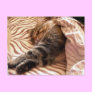 Dreaming of the veldt