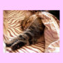 Dreaming of the veldt poster