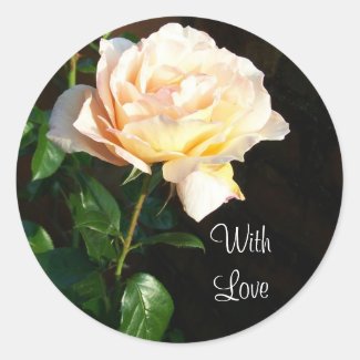 'Dreaming Spires' Rose Stickers