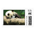 Dreaming Tai Shan postage