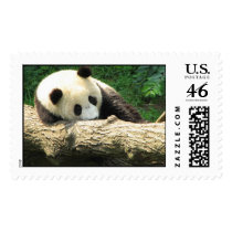 Dreaming Tai Shan Stamps