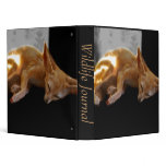 Dreamland binders