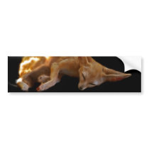 Dreamland Bumper Sticker