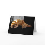 Dreamland cards
