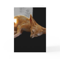 Dreamland Greeting Card