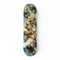 Dreamland skateboards by 360boards Dreamland skateboards