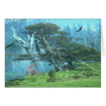 Dreams cards