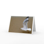 Dreams in Flight Cards
