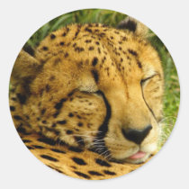 "Dreams of Ice Cream" Sticker stickers