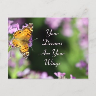 Dreams & Wings Butterfly Photography Post Card
