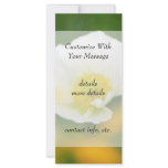Dreamscape - Iceland Poppy Rack Card Design