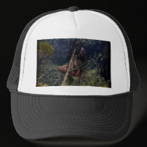 Dreamtime hats