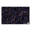 DreamXyZ.com - Bowelsx print