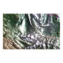 DreamXyZ.com - Cocco print