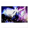 DreamXyZ.com - DANZ print